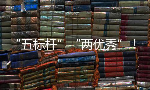 标杆百秀行动国务改院国两优中资委中创建集佳绩五团在科考核双